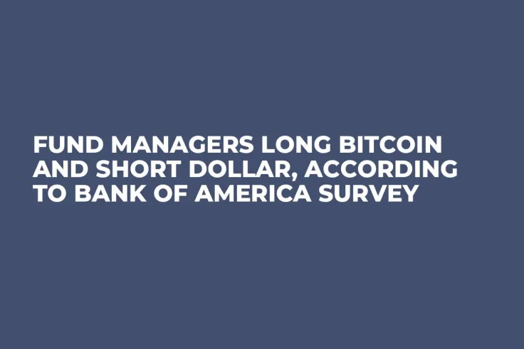 Fund Managers Long Bitcoin and Short Dollar, According to Bank of America Survey
