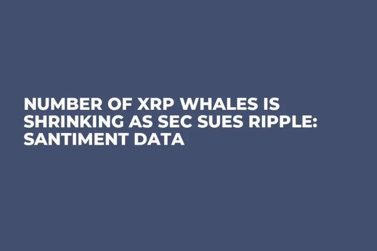 Number of XRP Whales Is Shrinking as SEC Sues Ripple: Santiment Data