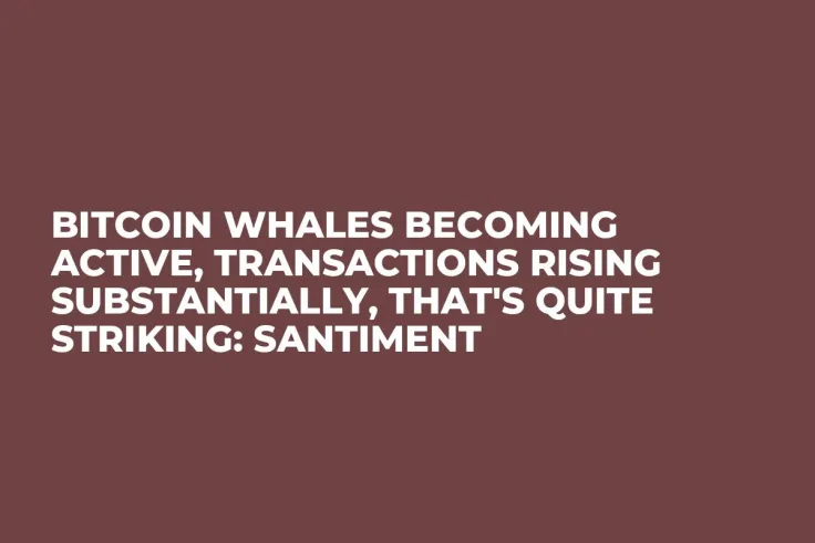 Bitcoin Whales Becoming Active, Transactions Rising Substantially, That's Quite Striking: Santiment