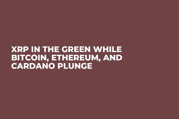 XRP in the Green While Bitcoin, Ethereum, and Cardano Plunge