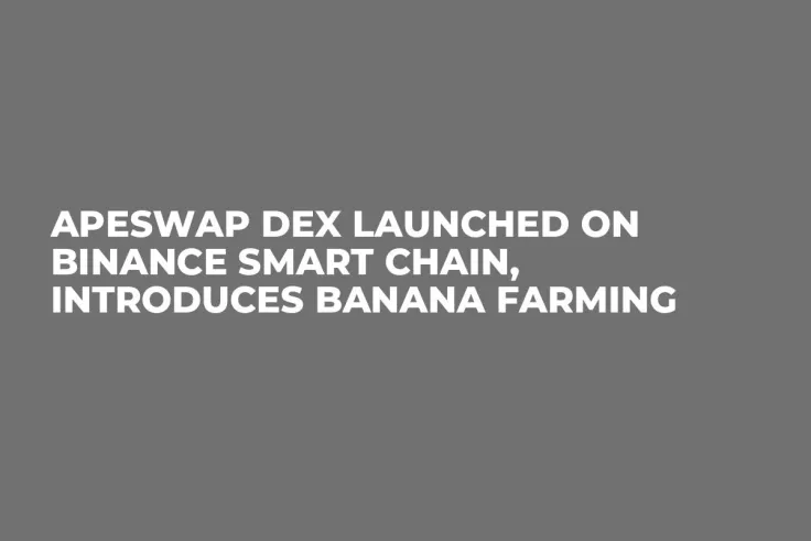 ApeSwap DEX Launched on Binance Smart Chain, Introduces BANANA Farming