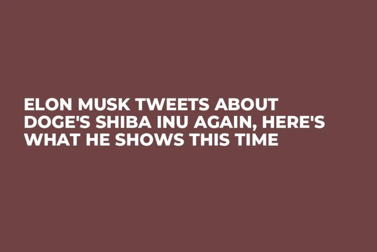 Elon Musk Tweets About DOGE's Shiba Inu Again, Here's What He Shows This Time