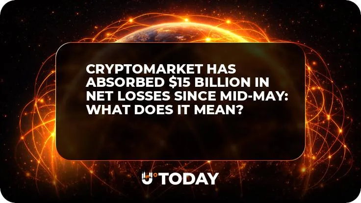 Cryptomarket Has Absorbed $15 Billion in Net Losses Since Mid-May: What Does It Mean?