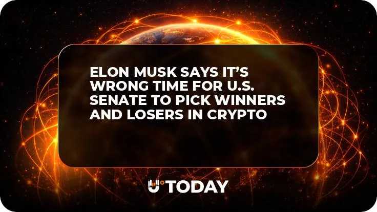 Elon Musk Says It’s Wrong Time for U.S. Senate to Pick Winners and Losers in Crypto