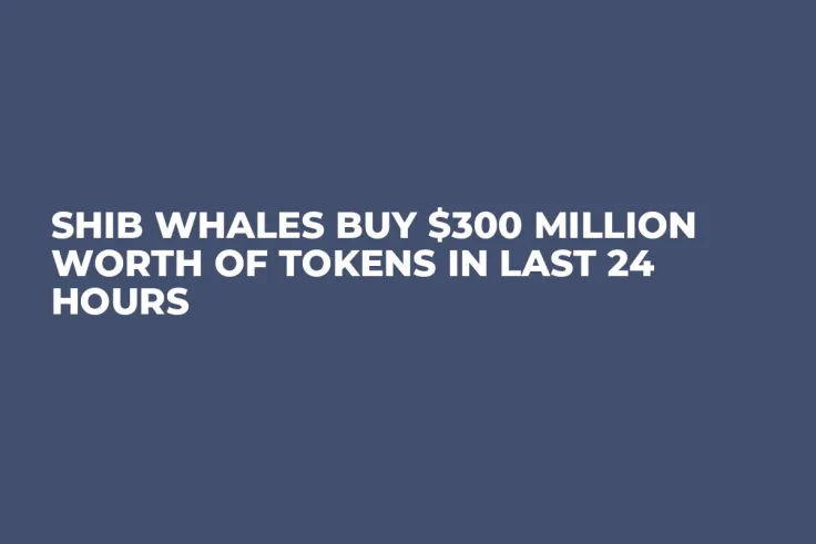 SHIB Whales Buy $300 Million Worth of Tokens in Last 24 Hours