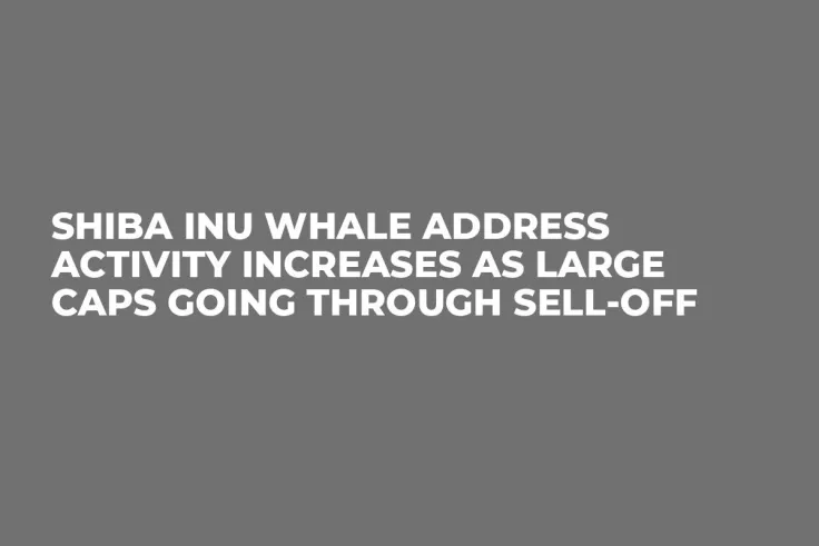 Shiba Inu Whale Address Activity Increases as Large Caps Going Through Sell-Off