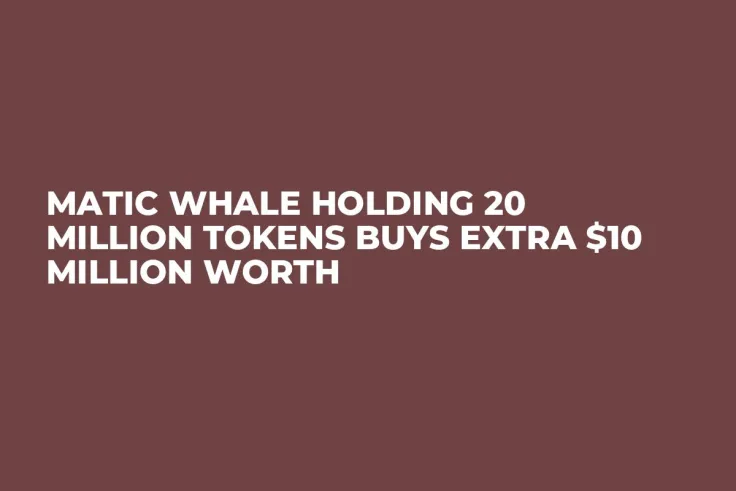 MATIC Whale Holding 20 Million Tokens Buys Extra $10 Million Worth