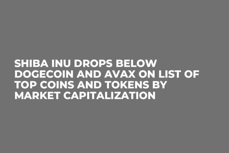 Shiba Inu Drops Below Dogecoin and AVAX on List of Top Coins and Tokens by Market Capitalization