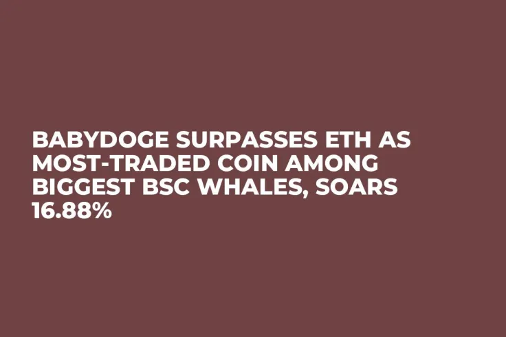 BabyDoge Surpasses ETH as Most-Traded Coin Among Biggest BSC Whales, Soars 16.88%