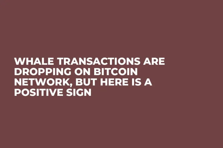 Whale Transactions Are Dropping on Bitcoin Network, But Here Is a Positive Sign