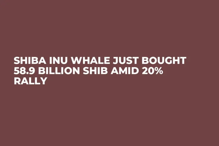 Shiba Inu Whale Just Bought 58.9 Billion SHIB Amid 20% Rally