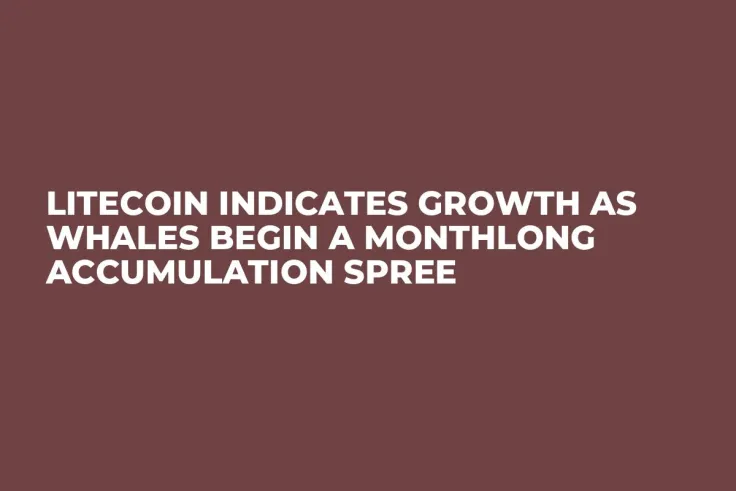 Litecoin Indicates Growth as Whales Begin a Monthlong Accumulation Spree