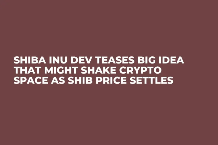Shiba Inu Dev Teases Big Idea That Might Shake Crypto Space as SHIB Price Settles
