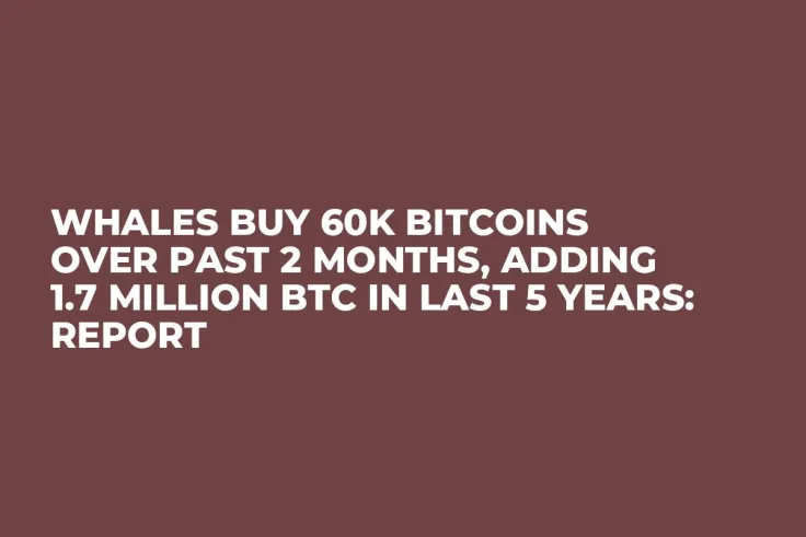 Whales Buy 60K Bitcoins Over Past 2 Months, Adding 1.7 Million BTC in Last 5 Years: Report