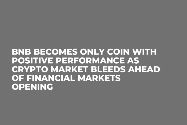 BNB Becomes Only Coin with Positive Performance as Crypto Market Bleeds Ahead of Financial Markets Opening