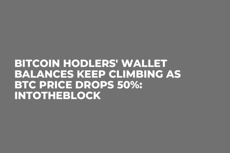 Bitcoin Hodlers' Wallet Balances Keep Climbing as BTC Price Drops 50%: IntoTheBlock