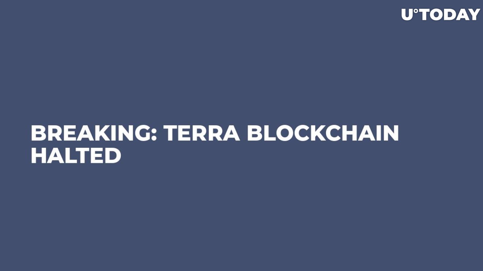 BREAKING: Terra Blockchain Halted