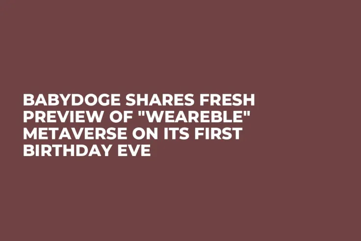BabyDoge Shares Fresh Preview of "Weareble" Metaverse on Its First Birthday Eve