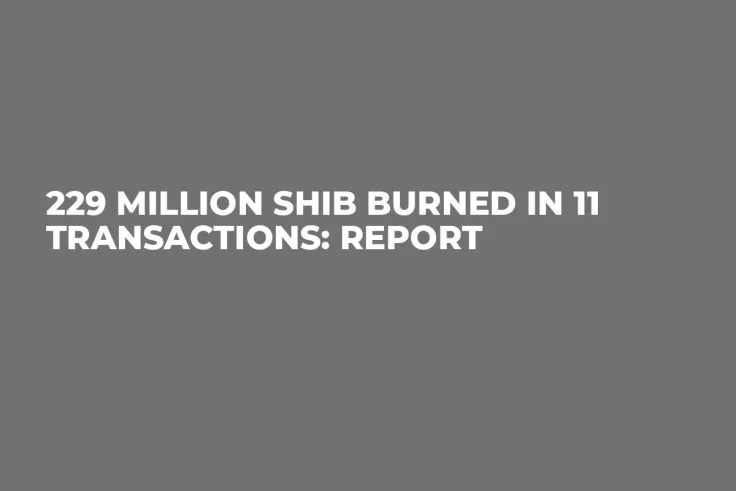 229 Million SHIB Burned in 11 Transactions: Report