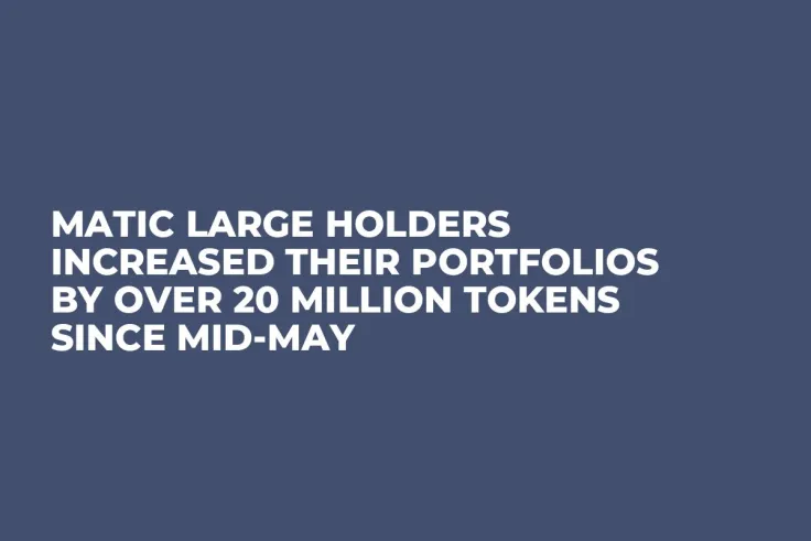 MATIC Large Holders Increased Their Portfolios by Over 20 Million Tokens Since Mid-May