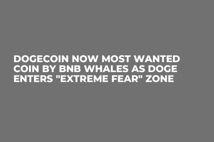 Dogecoin Now Most Wanted Coin by BNB Whales as DOGE Enters "Extreme Fear" Zone