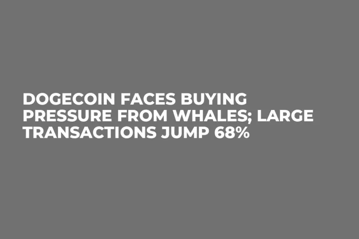 Dogecoin Faces Buying Pressure from Whales; Large Transactions Jump 68%
