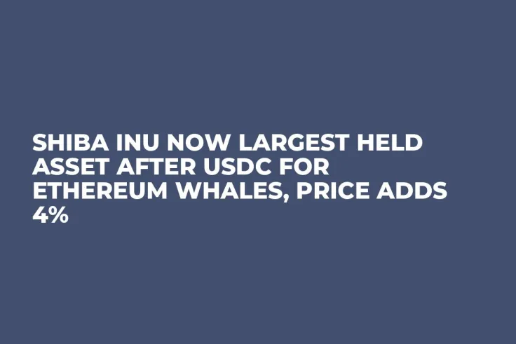 Shiba Inu Now Largest Held Asset After USDC for Ethereum Whales, Price Adds 4%