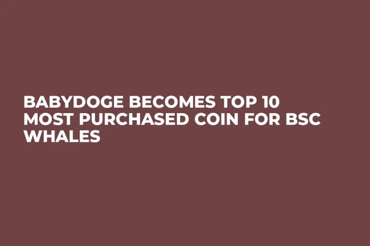 BabyDoge Becomes Top 10 Most Purchased Coin for BSC Whales