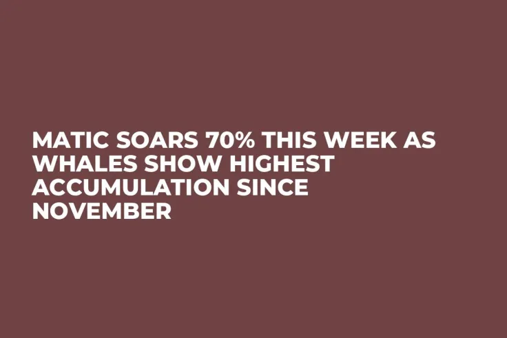 MATIC Soars 70% This Week as Whales Show Highest Accumulation Since November