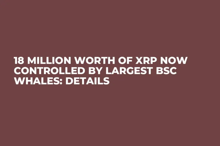 18 Million Worth of XRP Now Controlled by Largest BSC Whales: Details