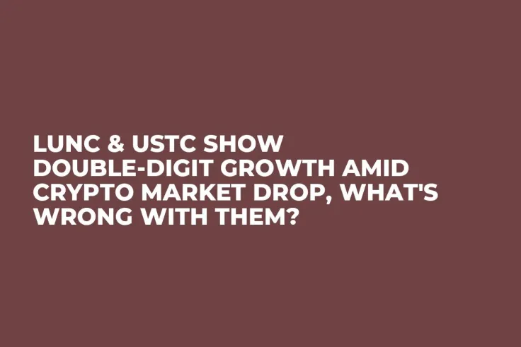 LUNC & USTC Show Double-Digit Growth Amid Crypto Market Drop, What's Wrong with Them?