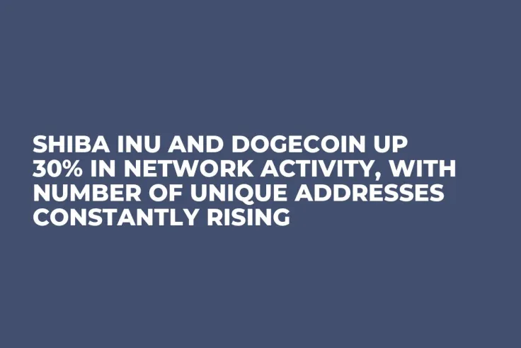 Shiba Inu and Dogecoin up 30% in Network Activity, With Number of Unique Addresses Constantly Rising