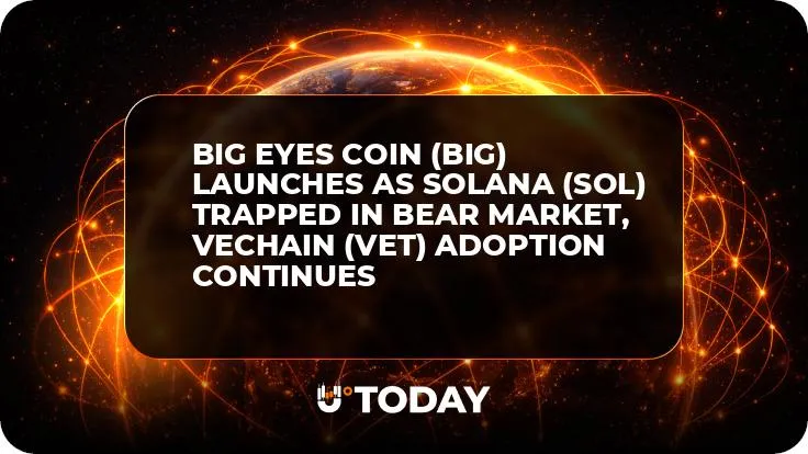 Big Eyes Coin (BIG) Launches as Solana (SOL) Trapped in Bear Market, VeChain (VET) Adoption Continues