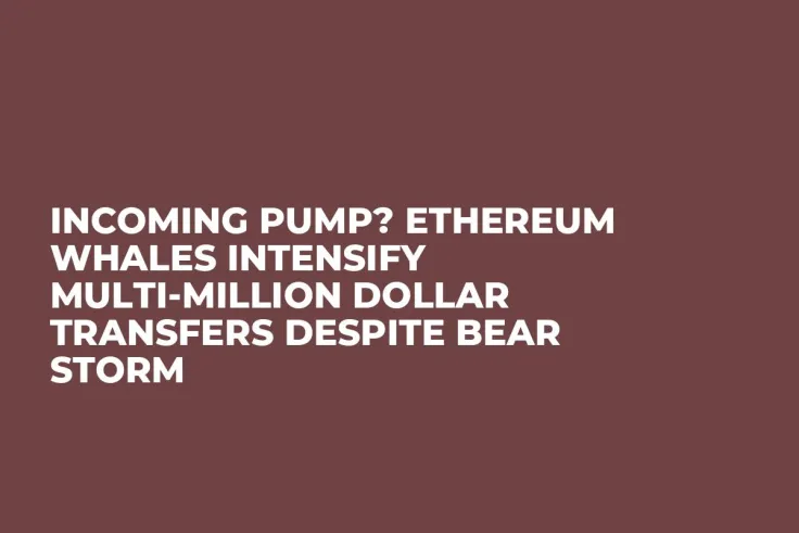 Incoming Pump? Ethereum Whales Intensify Multi-million Dollar Transfers Despite Bear Storm