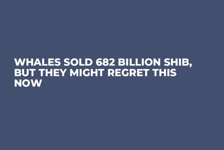 Whales Sold 682 Billion SHIB, But They Might Regret This Now