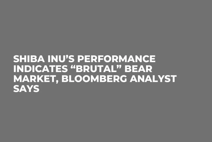 Shiba Inu’s Performance Indicates “Brutal” Bear Market, Bloomberg Analyst Says