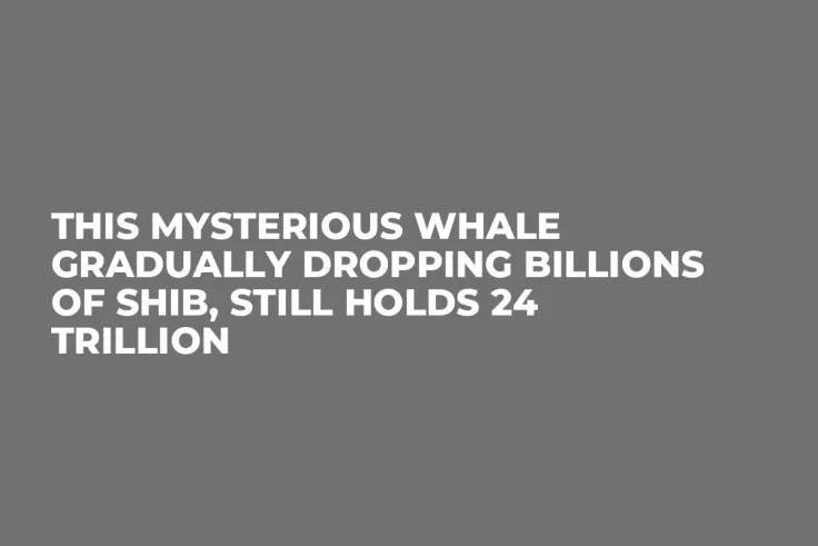 This Mysterious Whale Gradually Dropping Billions of SHIB, Still Holds 24 Trillion