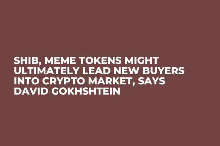 SHIB, Meme Tokens Might Ultimately Lead New Buyers into Crypto Market, Says David Gokhshtein