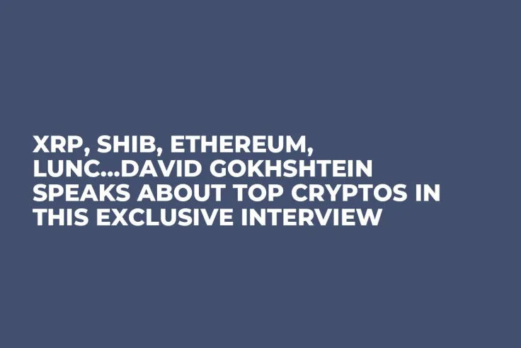 XRP, SHIB, Ethereum, LUNC…David Gokhshtein Speaks About Top Cryptos in This Exclusive Interview