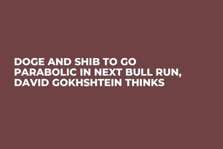 DOGE and SHIB to Go Parabolic in Next Bull Run, David Gokhshtein Thinks