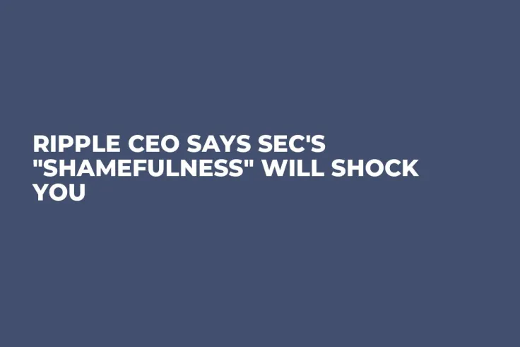 Ripple CEO Says SEC's "Shamefulness" Will Shock You