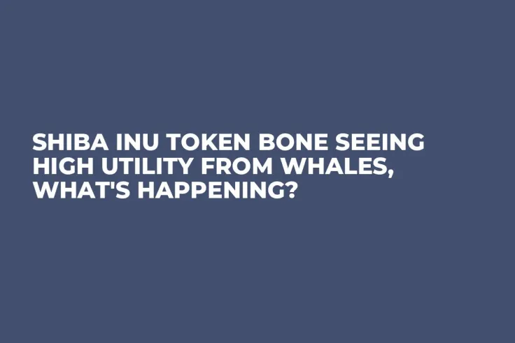 Shiba Inu Token BONE Seeing High Utility From Whales, What's Happening?