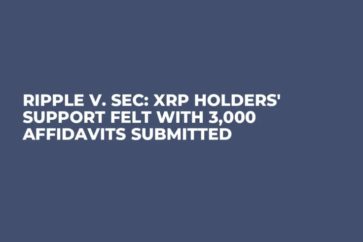Ripple v. SEC: XRP Holders' Support Felt With 3,000 Affidavits Submitted