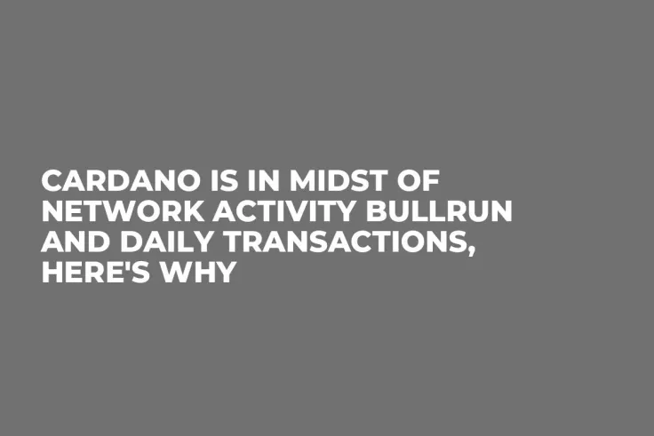 Cardano Is in Midst of Network Activity Bullrun and Daily Transactions, Here's Why