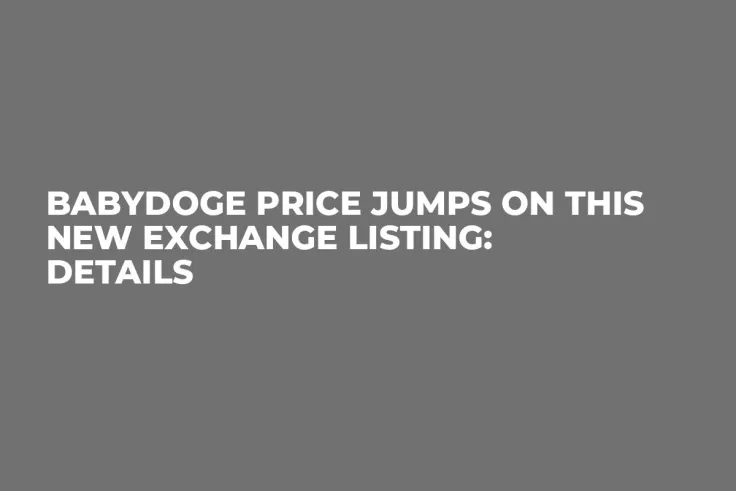 BabyDoge Price Jumps on This New Exchange Listing: Details