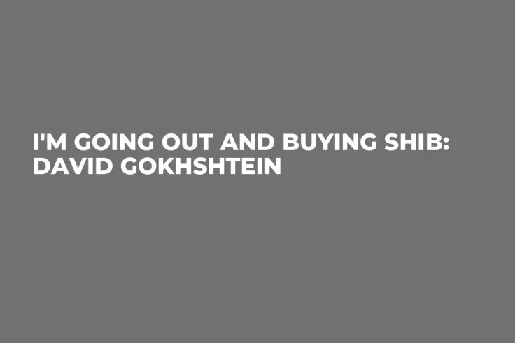 I'm Going Out and Buying SHIB: David Gokhshtein