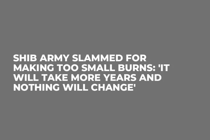 SHIB Army Slammed for Making Too Small Burns: 'It Will Take More Years and Nothing Will Change'
