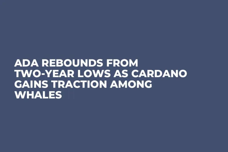 ADA Rebounds from Two-year Lows as Cardano Gains Traction Among Whales