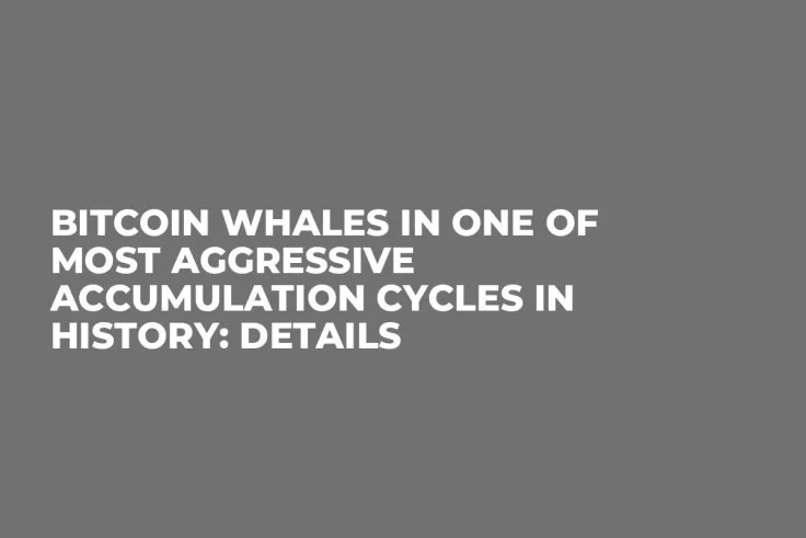 Bitcoin Whales in One of Most Aggressive Accumulation Cycles in History: Details