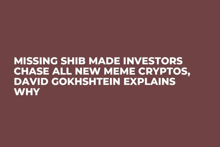 Missing SHIB Made Investors Chase All New Meme Cryptos, David Gokhshtein Explains Why